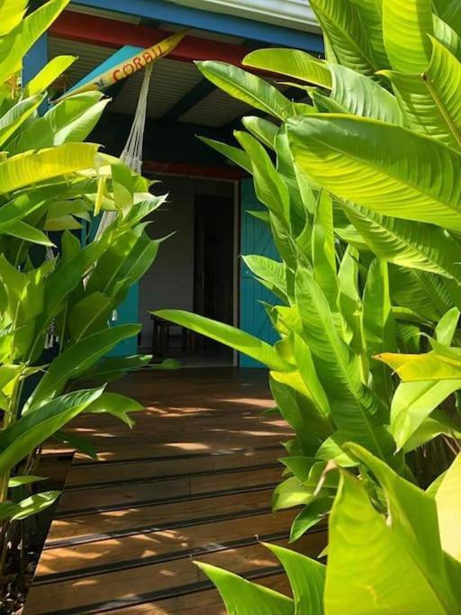 Secteur Prise, Bungalow Corail, Residence Casa Boubou ساينت آن المظهر الخارجي الصورة