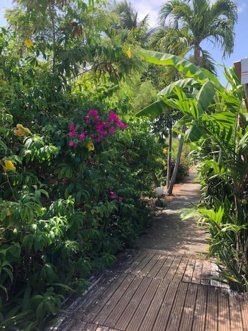 Secteur Prise, Bungalow Corail, Residence Casa Boubou ساينت آن المظهر الخارجي الصورة