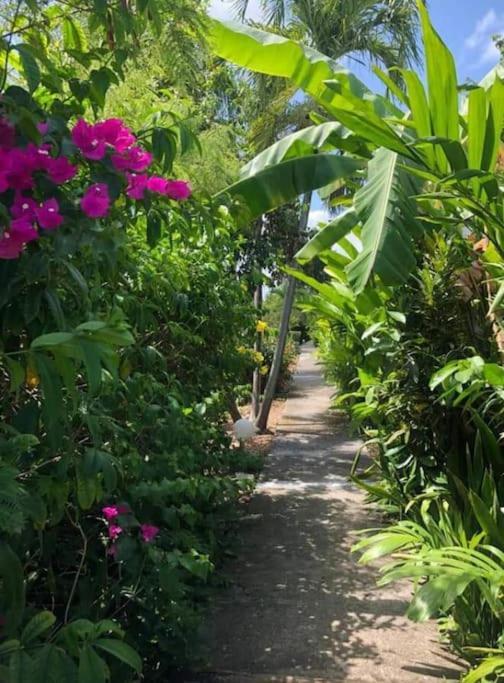 Secteur Prise, Bungalow Corail, Residence Casa Boubou ساينت آن المظهر الخارجي الصورة