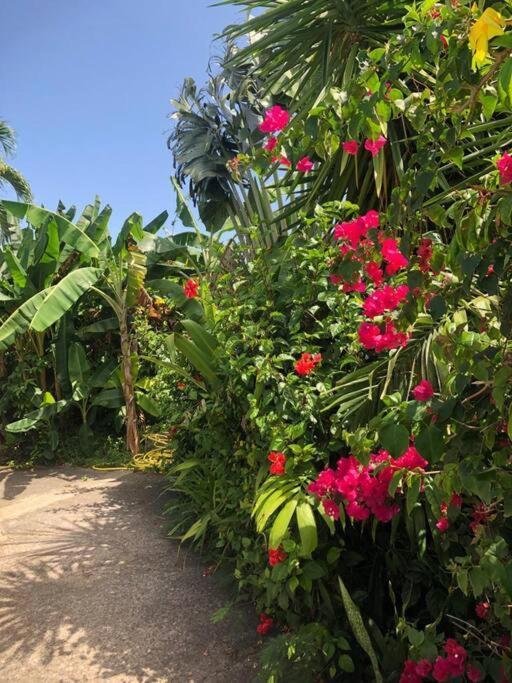 Secteur Prise, Bungalow Corail, Residence Casa Boubou ساينت آن المظهر الخارجي الصورة